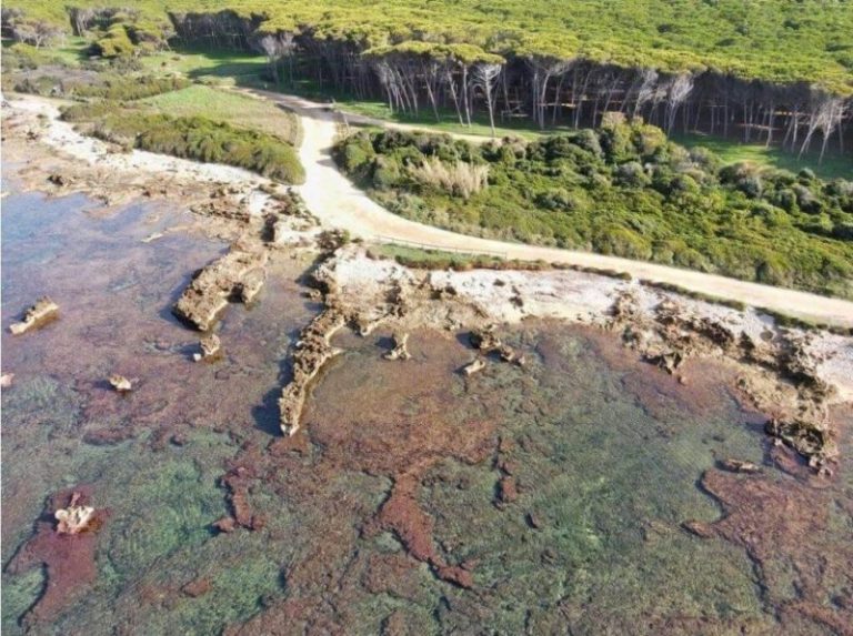 ambiente-mare-italia-1-e1631980506870