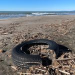 Plastica sulle spiagge, raccolti oltre 500 chili di rifiuti in cinque regioni