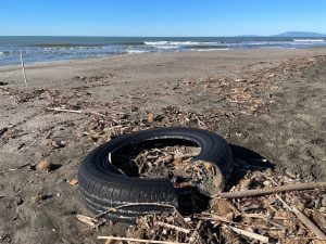 Plastica sulle spiagge, raccolti oltre 500 chili di rifiuti in cinque regioni