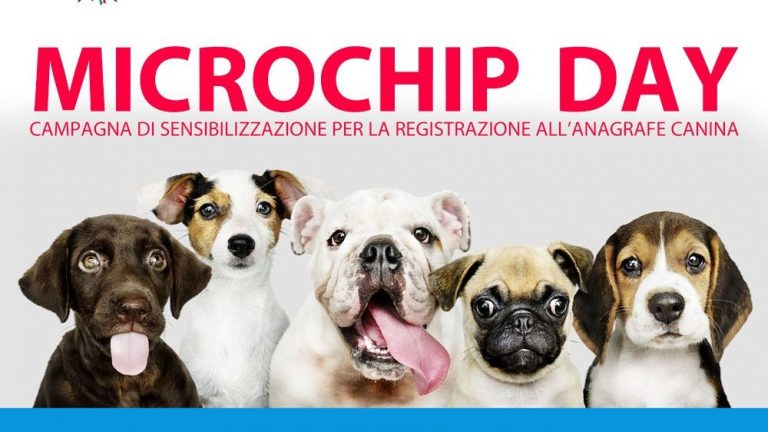 microchip-day-1