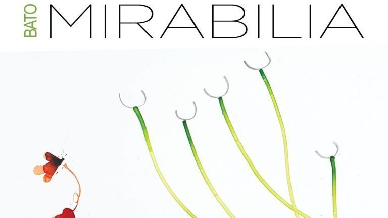 BATO MIRABILIA_ INVITO