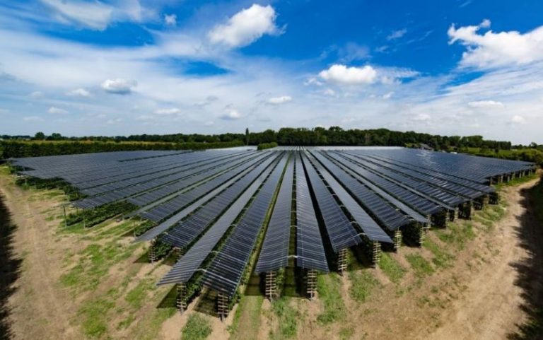 agro-fotovoltaico-agrovoltaico