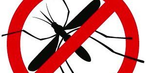 zanzare
