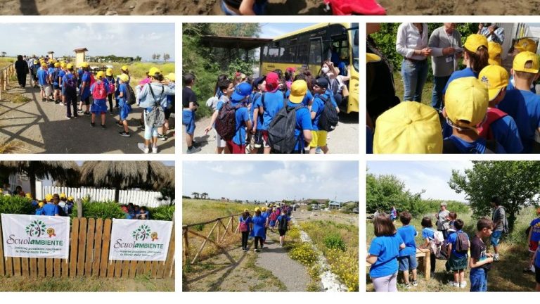 SCUOLE TORRE FLAVIA COLLAGE