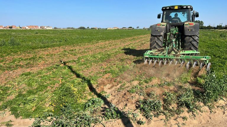 campo carote trattore