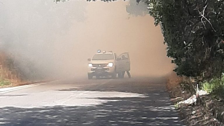 incendio-maccarese-1