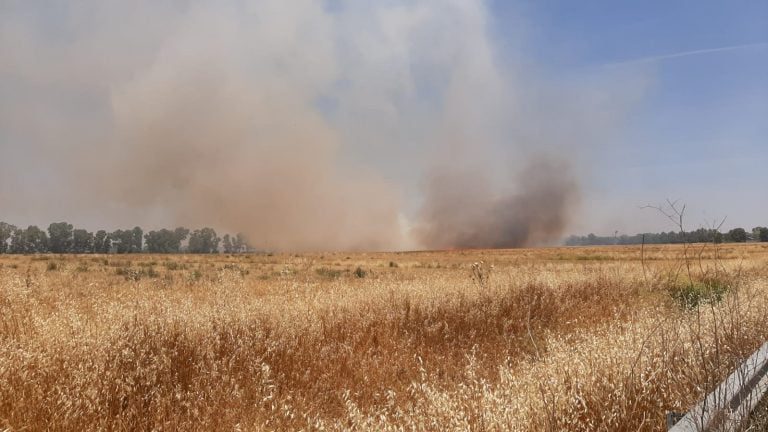 incendio-maccarese1-1