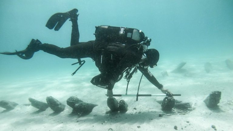 Attivita-della-Guardia-Costiera-4