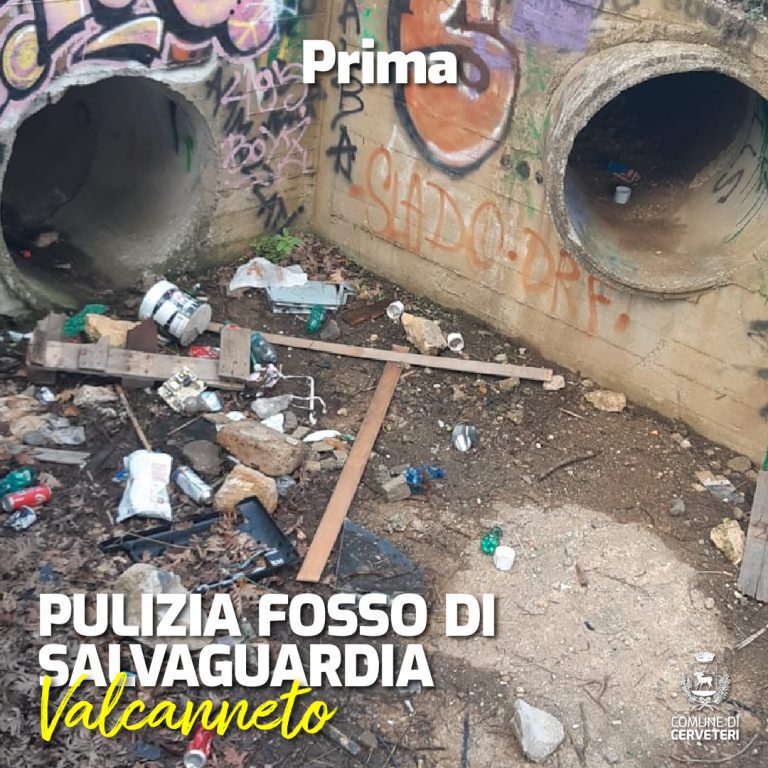 Tavola-disegno-1-copia-11-100