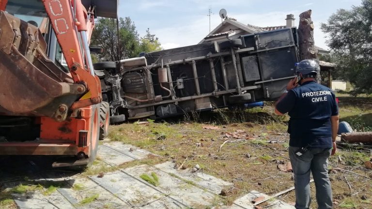 danni-tromba-daria-cv