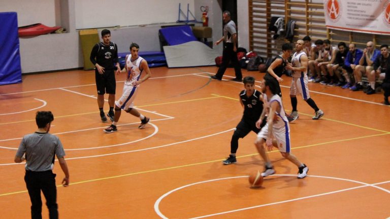 dinamo basket ladispoli