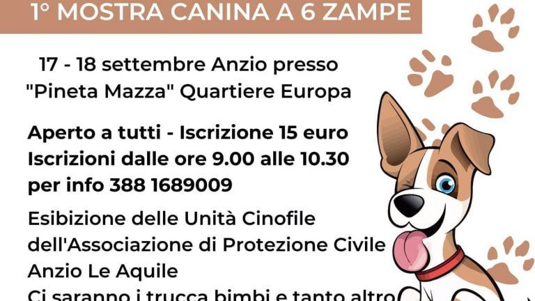 mostra-canina