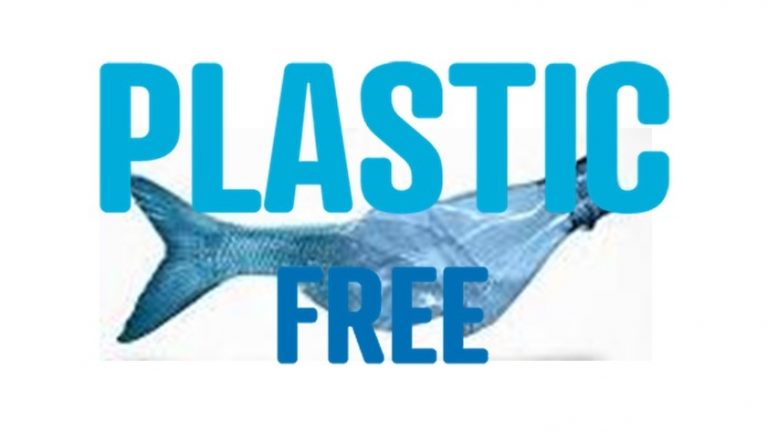 plastic-free