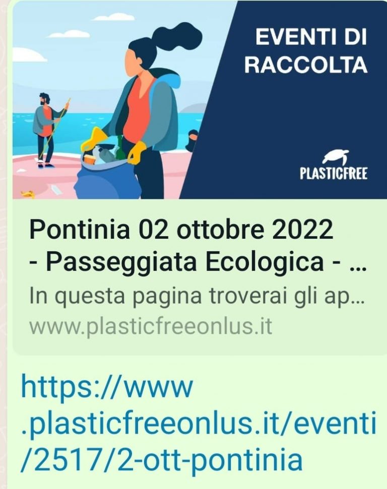pontinia