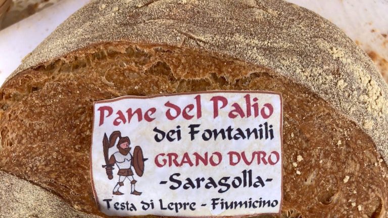 pane-testa-di-lepre2