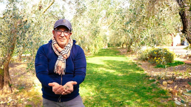 SIGLA-GattoPuzzo.00_00_19_11.Immagine001