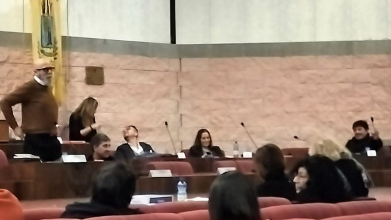 consiglio comunale cv tedesco