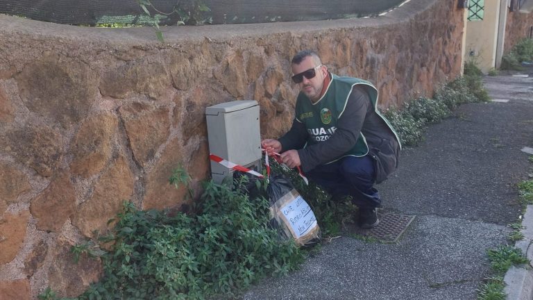 guardie-ecozoofile-ladispoli-fareambiente