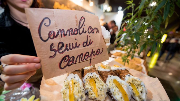 canapamundi_Foto-di-Canapa-Mundi.