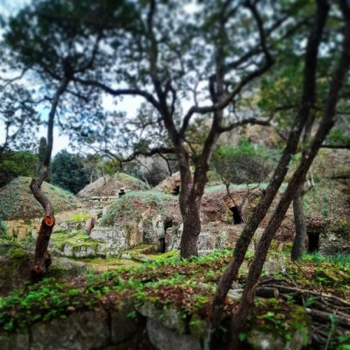 parco-archeologico-cerveteri-tarquinia