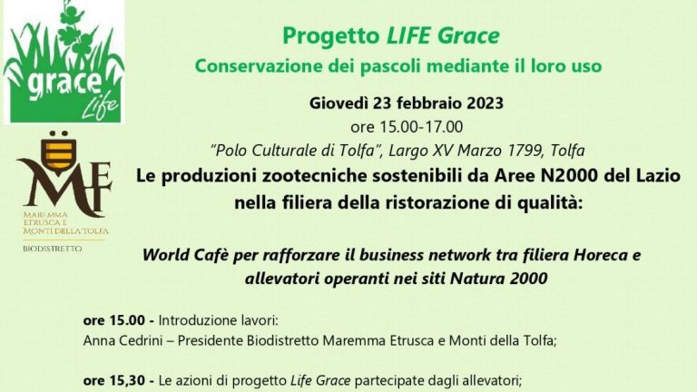 Locandina_Evento_Tolfa