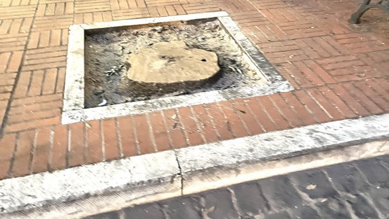 viale-garibaldi-montalto