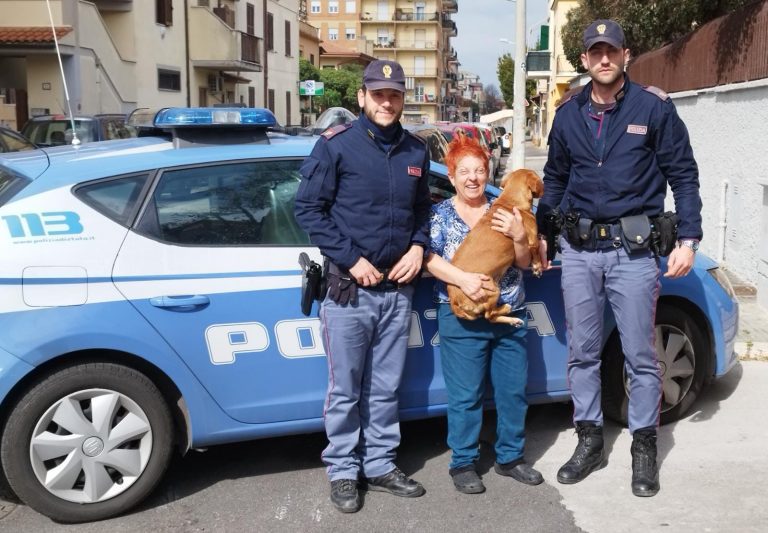 25.03.2023-Ladispoli-Smarrimento-Cane