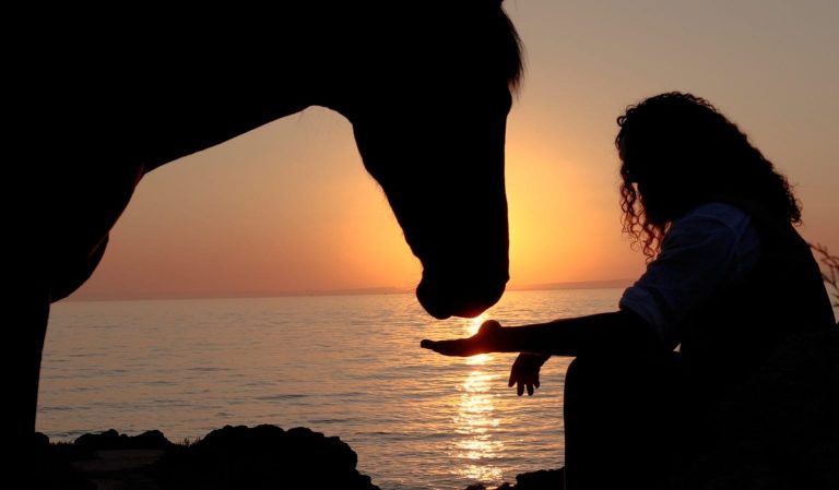 ASD-LADISPOLI-EQUITAZIONE