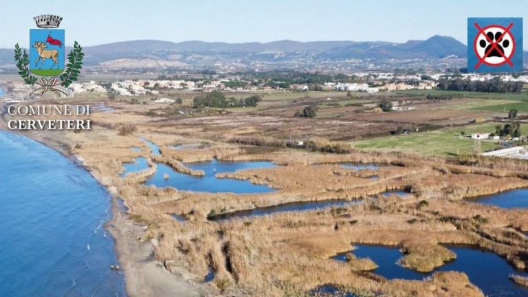 Locandina-palude-di-torre-flavia