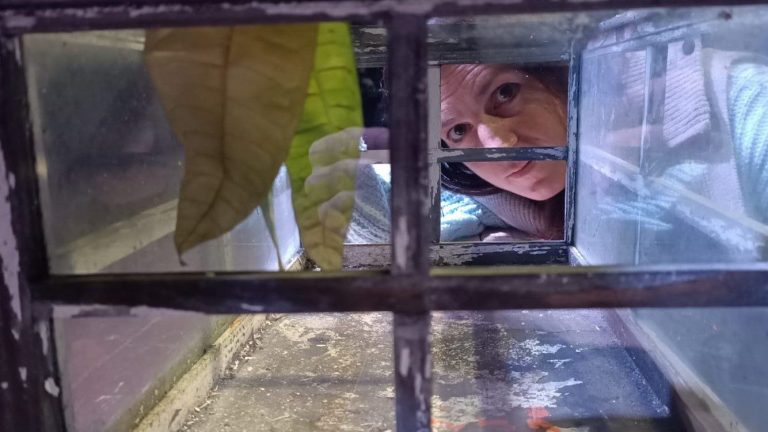 Tutte-le-persone-vive_16-17-18-marzo_2023_Fortezza-est_foto1