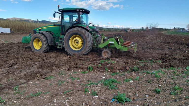 limonaia-santa-marinella