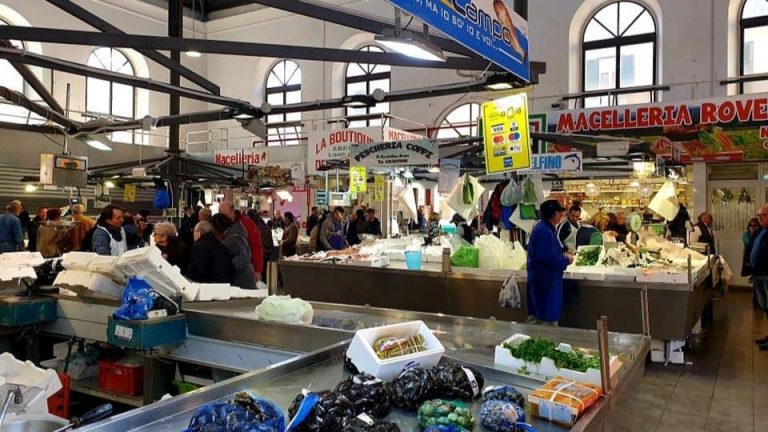 mercato pesce civitavecchia
