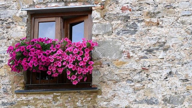 fprimavera in finestra tarquinia