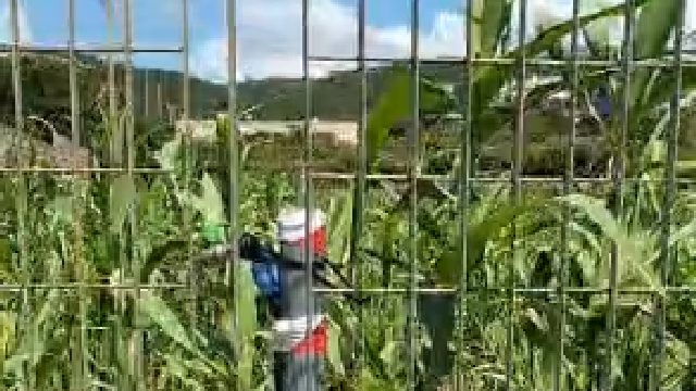 In 5 anni nulla è stato fatto e la zona prevede ancora solo aree verdi
