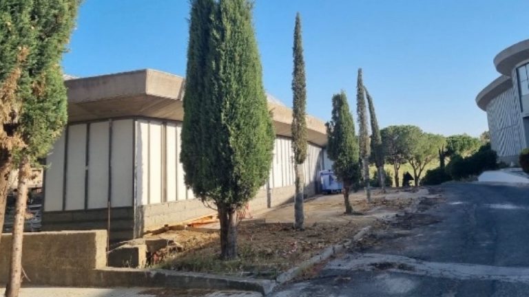 WhatsApp Image 2023-07-26 at 12.43.55