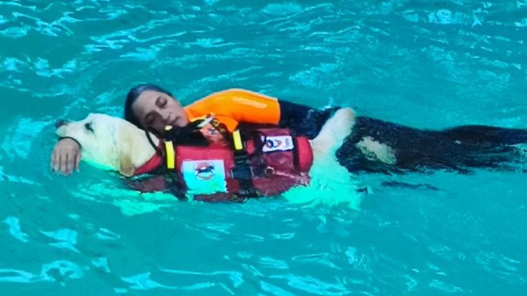 IMG_20230625_204002_594