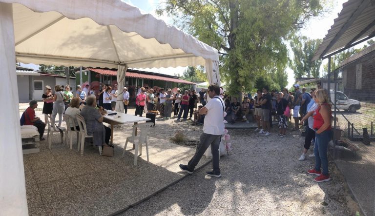 Raduno-solidale-per-gli-Amici-del-Cane-di-Latina1