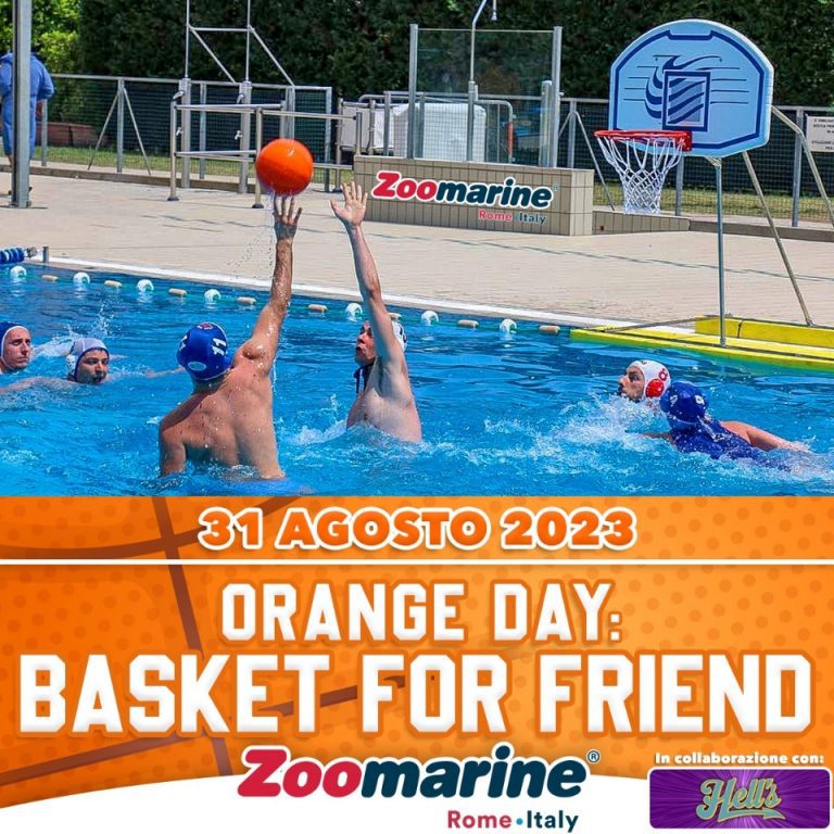 Zoomarine Basket2
