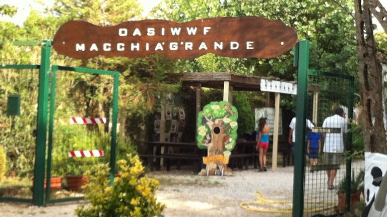 wwf-fregene-macchiagrande