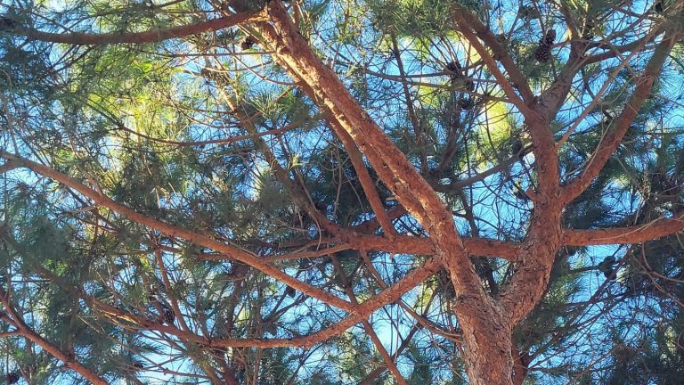 WhatsApp Image 2023-08-31 at 11.40.13