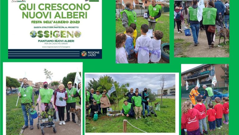 chiusura-festa-albero