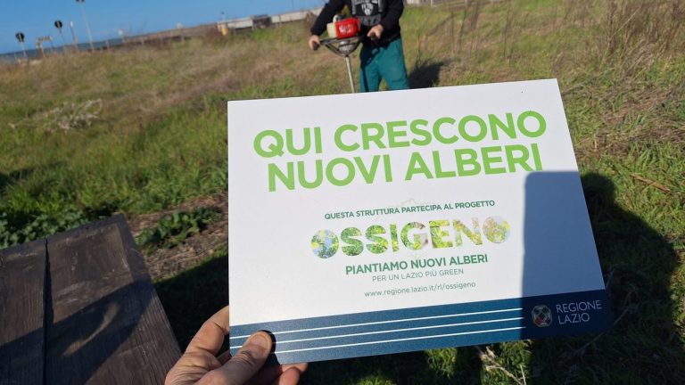 Palude-di-Torre-Flavia-messi-a-dimora-100-alberelli1-20240213_093746