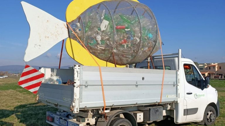 pesce-mangiaplastica-campo-di-mare