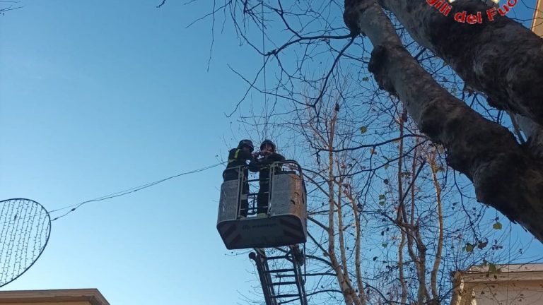 vigili-del-fuoco-civitavecchia