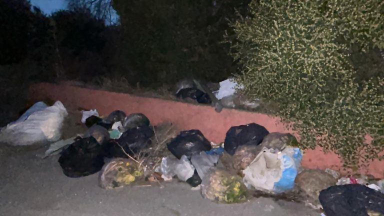 687df26d-a845-4ad7-b975-0c7616f7ab30