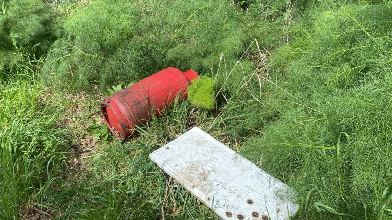 operazione ecologica tarquinia2