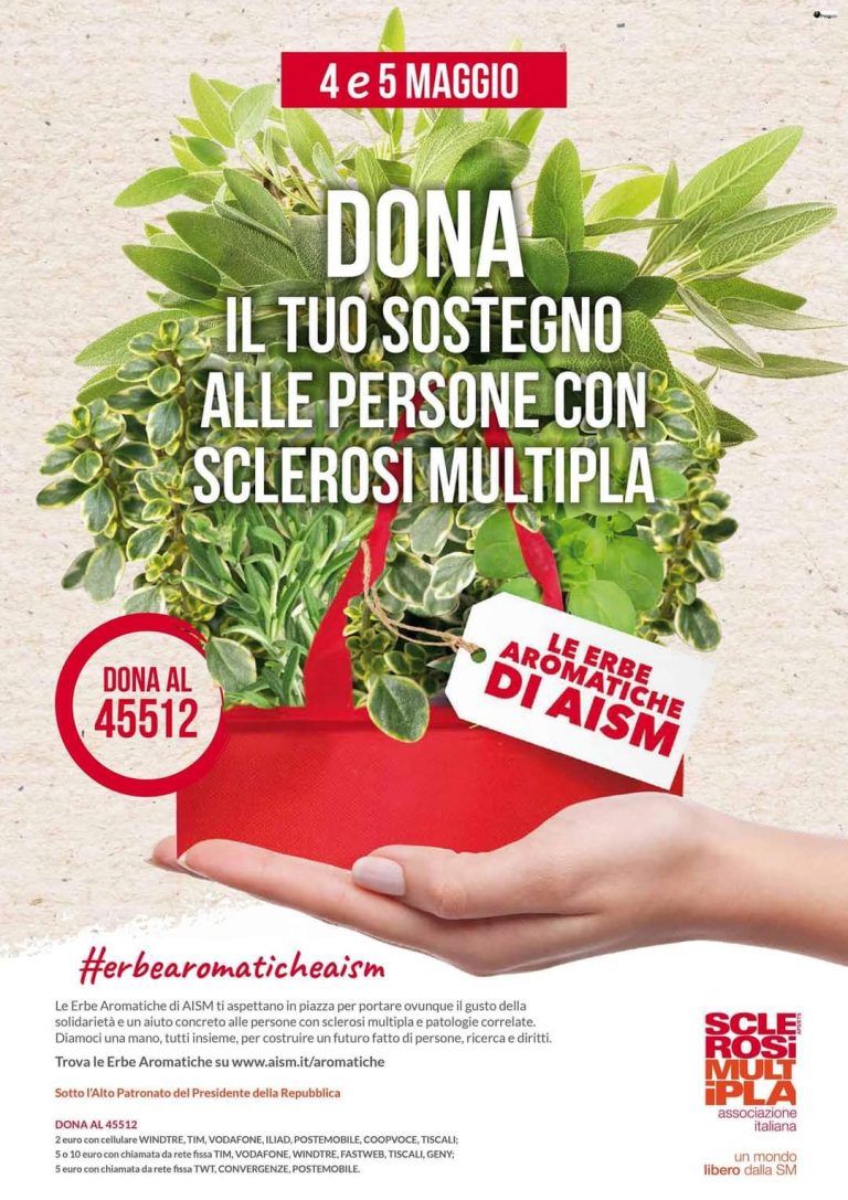 Erbe-aromatiche-di-Aism-Cerveteri-2024