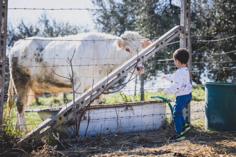 bambini-in-fattoria-sara-cerveteri-quattro-ricci2