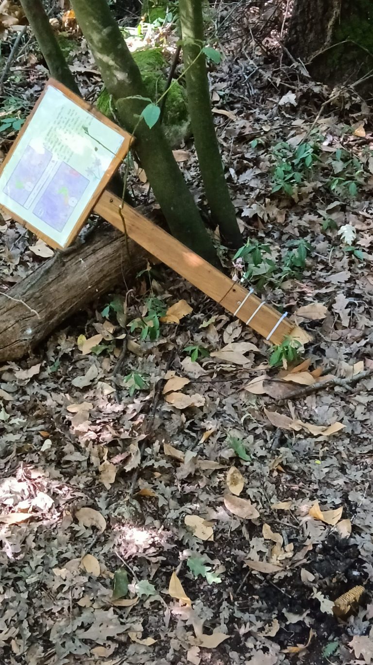 Bosco-Valcanneto-Atti-vandalici2