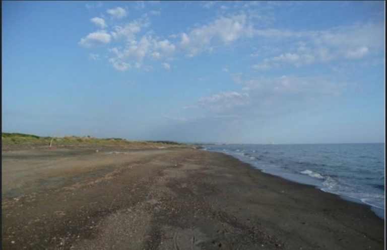 spiaggia Tarquinia Spinicci